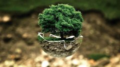 國立科技發(fā)布定增預案,布局可降解塑料黃金賽道 國立科技發(fā)布定增預案,布局可降解塑料黃金賽道